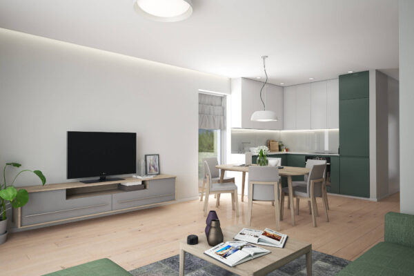 Vienozinskio_View02_1